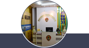 我们拥有 我们拥有